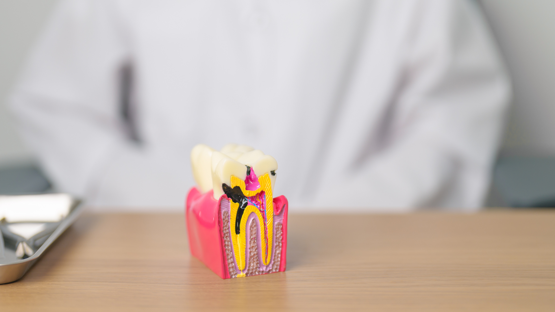 Can Red Light Therapy Help with Healing of Root Canals?